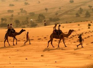 desert-national-park-jaisalmer1