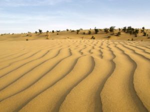 sand-dunes-Thar-Desert
