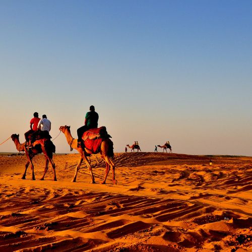 desert safari at sam